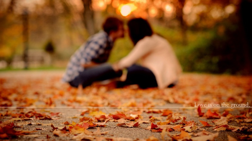 autumn_love-HD